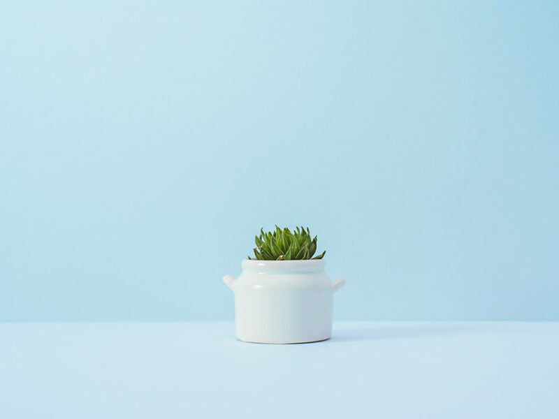 Best practices for minimalist design with example